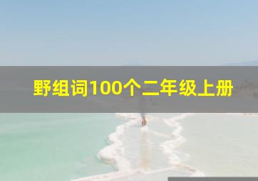 野组词100个二年级上册