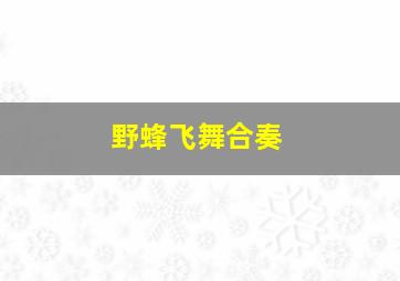 野蜂飞舞合奏