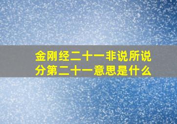 金刚经二十一非说所说分第二十一意思是什么