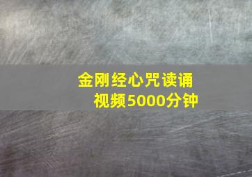 金刚经心咒读诵视频5000分钟