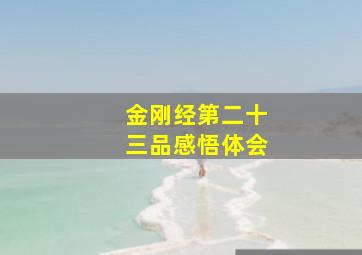 金刚经第二十三品感悟体会