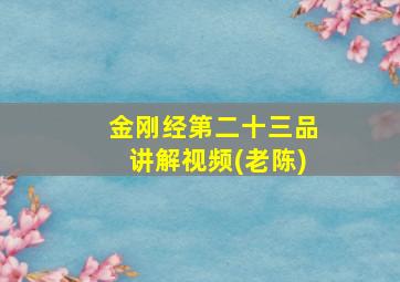 金刚经第二十三品讲解视频(老陈)