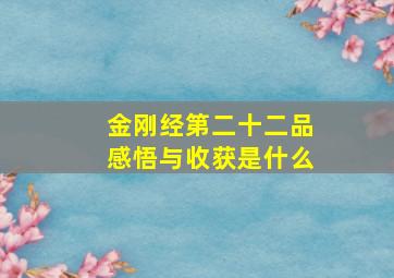 金刚经第二十二品感悟与收获是什么