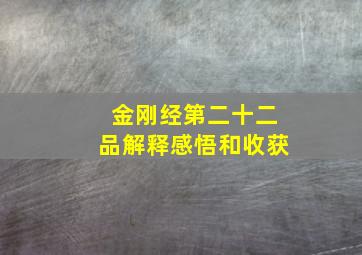 金刚经第二十二品解释感悟和收获