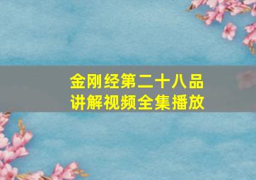 金刚经第二十八品讲解视频全集播放