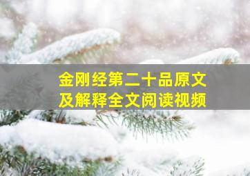 金刚经第二十品原文及解释全文阅读视频