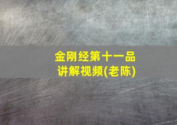 金刚经第十一品讲解视频(老陈)