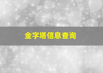 金字塔信息查询