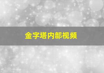 金字塔内部视频