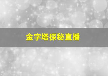 金字塔探秘直播