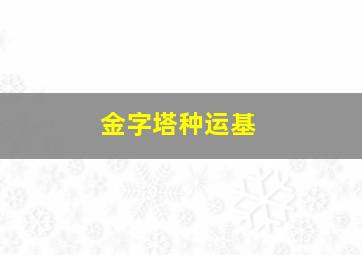 金字塔种运基