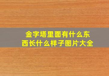 金字塔里面有什么东西长什么样子图片大全