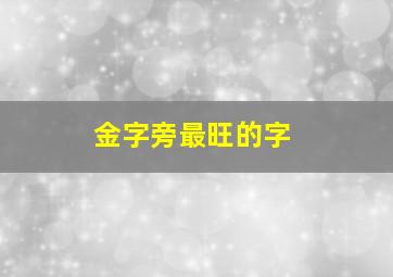 金字旁最旺的字