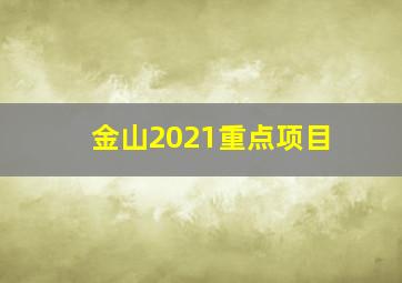 金山2021重点项目