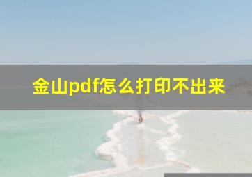 金山pdf怎么打印不出来