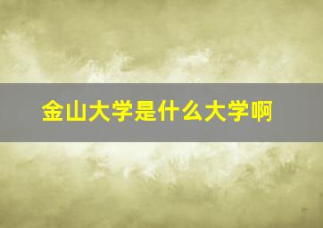 金山大学是什么大学啊