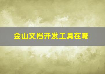 金山文档开发工具在哪