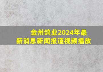 金州鸽业2024年最新消息新闻报道视频播放