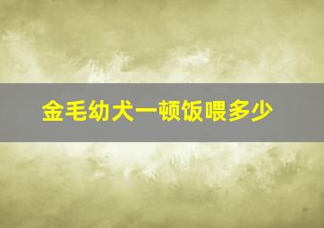 金毛幼犬一顿饭喂多少