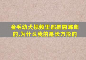 金毛幼犬视频里都是圆嘟嘟的,为什么我的是长方形的