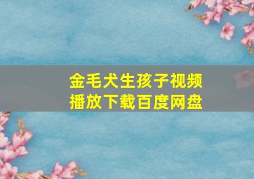 金毛犬生孩子视频播放下载百度网盘