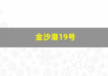 金沙港19号