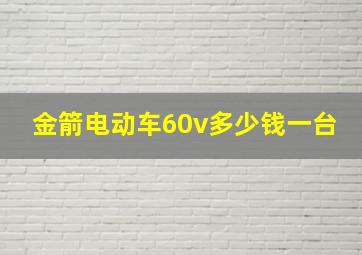 金箭电动车60v多少钱一台