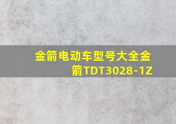 金箭电动车型号大全金箭TDT3028-1Z