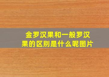 金罗汉果和一般罗汉果的区别是什么呢图片