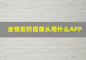 金锁安防摄像头用什么APP