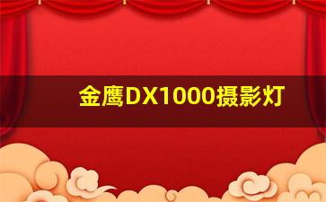 金鹰DX1000摄影灯