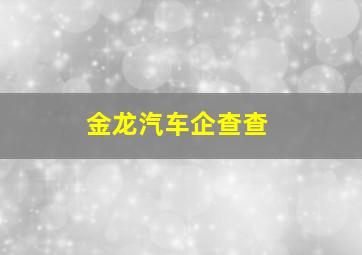 金龙汽车企查查