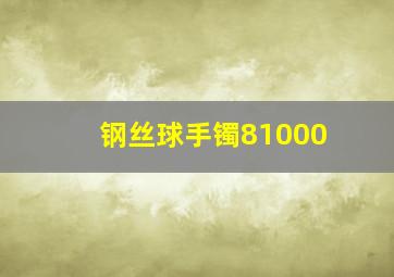 钢丝球手镯81000