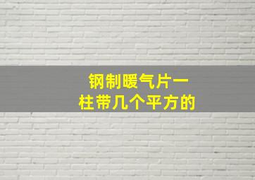 钢制暖气片一柱带几个平方的