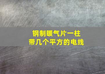 钢制暖气片一柱带几个平方的电线