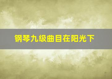 钢琴九级曲目在阳光下