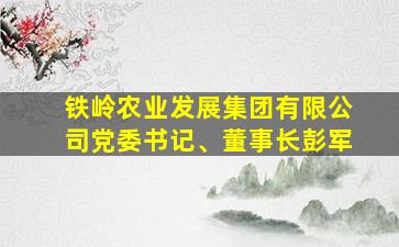 铁岭农业发展集团有限公司党委书记、董事长彭军