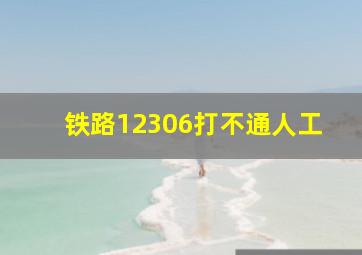 铁路12306打不通人工