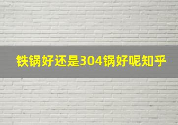 铁锅好还是304锅好呢知乎