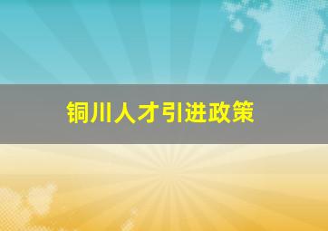 铜川人才引进政策