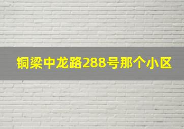 铜梁中龙路288号那个小区