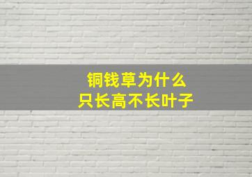 铜钱草为什么只长高不长叶子