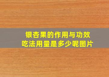 银杏果的作用与功效吃法用量是多少呢图片