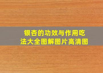 银杏的功效与作用吃法大全图解图片高清图