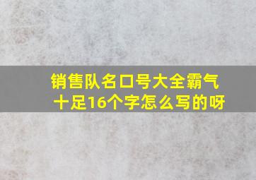 销售队名口号大全霸气十足16个字怎么写的呀