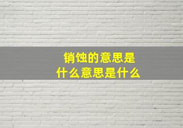 销蚀的意思是什么意思是什么