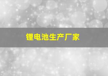 锂电池生产厂家