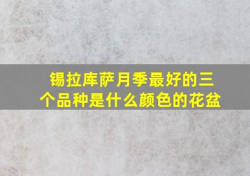 锡拉库萨月季最好的三个品种是什么颜色的花盆