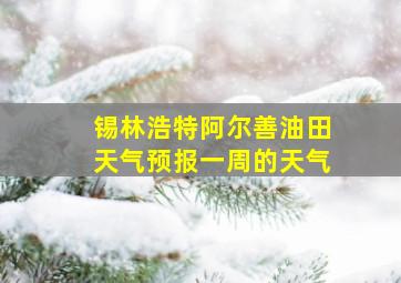 锡林浩特阿尔善油田天气预报一周的天气