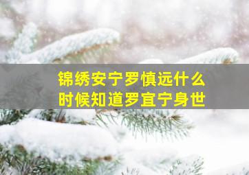 锦绣安宁罗慎远什么时候知道罗宜宁身世